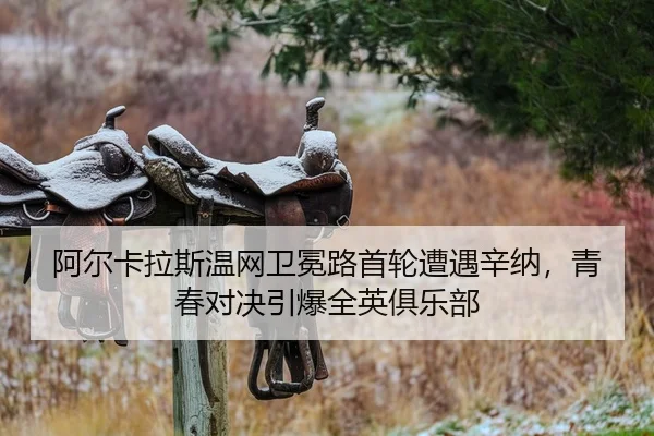a-er-ka-la-si-wen-wang-wei-mian-lu-shou-lun-zao-yu-xin-na-qing-chun-dui-jue-yin-bao-quan-ying-ju-le-bu-2-802.jpg