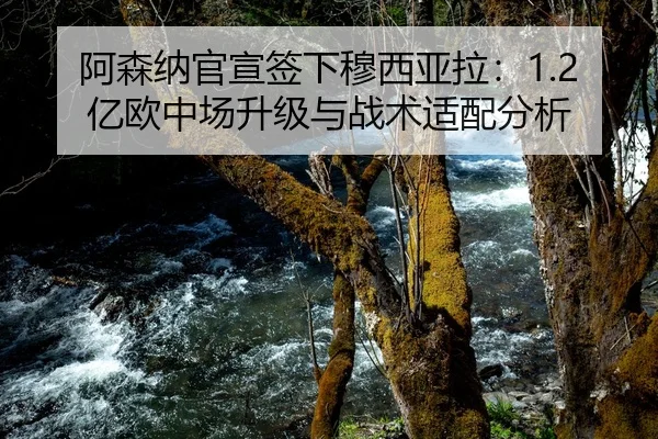 a-sen-na-guan-xuan-qian-xia-mu-xi-ya-la-yi-ou-zhong-chang-sheng-ji-yu-zhan-shu-shi-pei-fen-xi-2-342.jpg